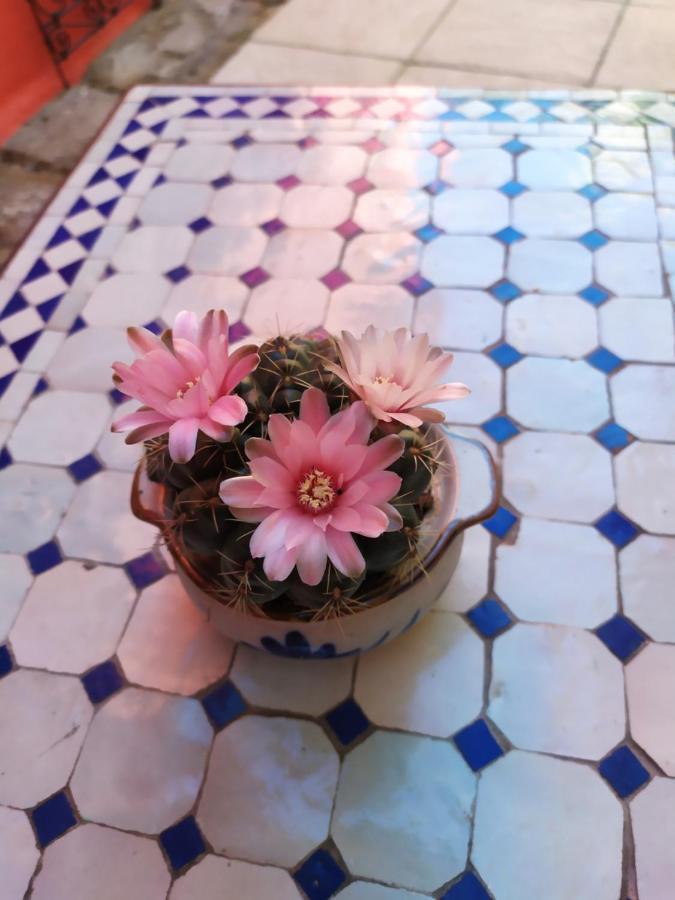 Gîte La rose des sables, aux portes de L'Orient Locmiquélic Extérieur photo